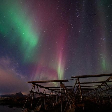 Fish Factory -The Real Lofoten Experience Ballstad Ngoại thất bức ảnh